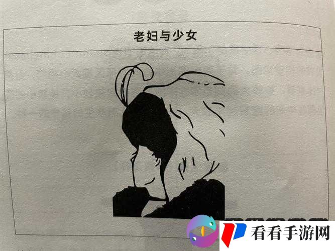 阿老妇乱:一场引人深思的事件