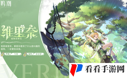 《鸣潮》椿怎么配队椿主c配队搭配推荐2