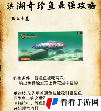 《欢乐钓鱼大师》洪湖最后两条鱼在哪