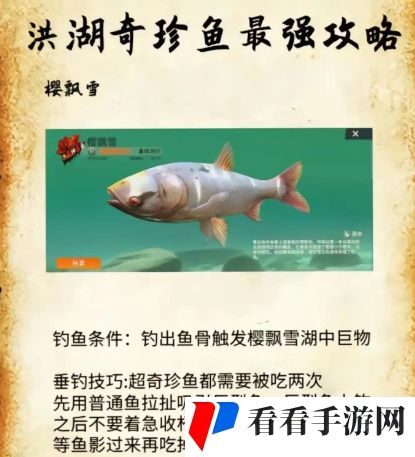 《欢乐钓鱼大师》洪湖最后两条鱼在哪
