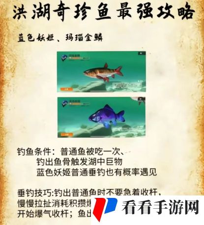 《欢乐钓鱼大师》洪湖最后两条鱼在哪