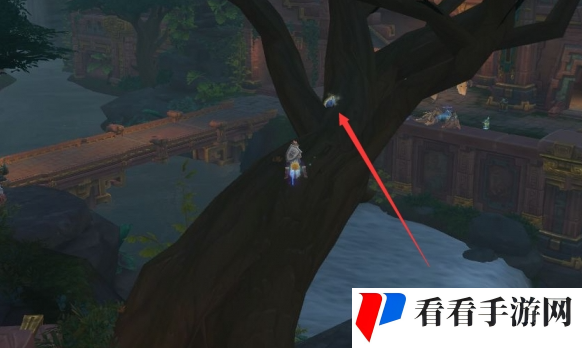 魔兽世界毛绒玩具在哪里