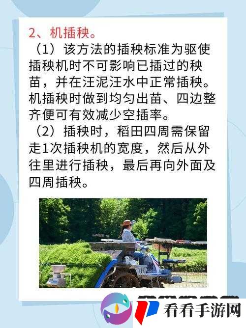 情侣的一百种插秧法及其做法:详细解析与指导