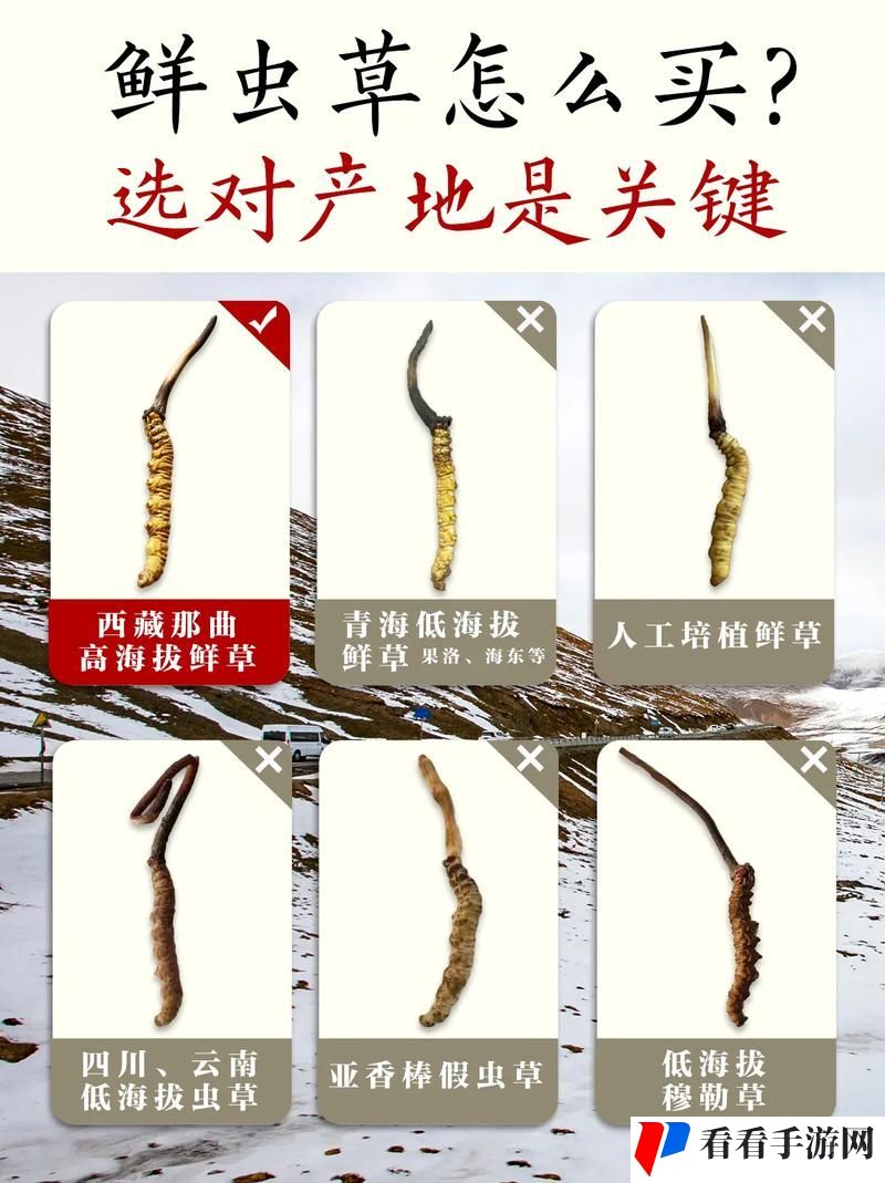 嫩草精的三大产区