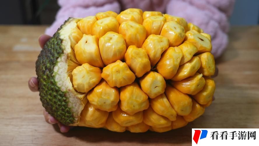 菠萝蜜在线观看免费观看