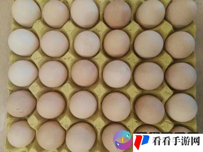 B 里放鸡蛋图片:数量究竟有多少