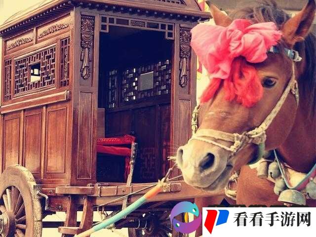 摄政王马车里的涟漪：一段隐藏在华丽车厢中的神秘故事
