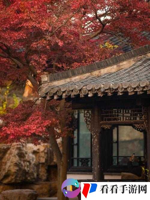 清茗学院水韵仙奴大结局:仙奴修炼成仙,离开清茗学院