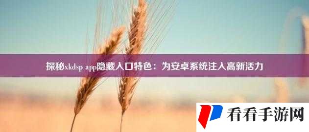 xkdspapp5.0 隐藏入口：探寻其背后的秘密与相关信息