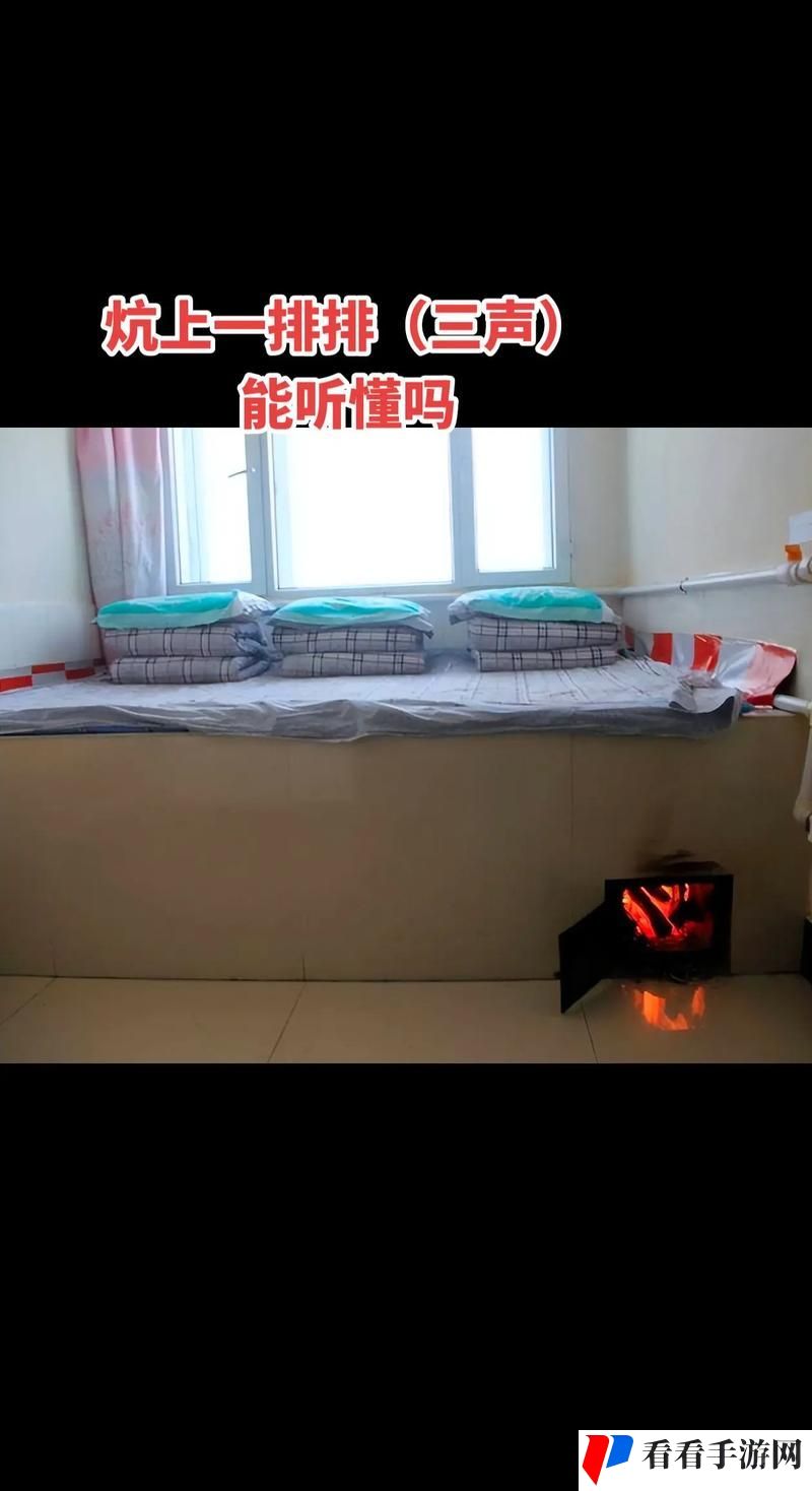 大炕上的肉伦第三部