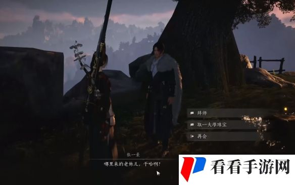 《燕云十六声》天泉大师兄位置介绍5