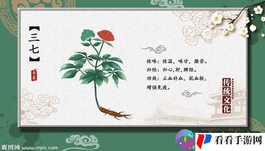 三七大但人文艺术免费:探索其独特魅力与价值意义所在