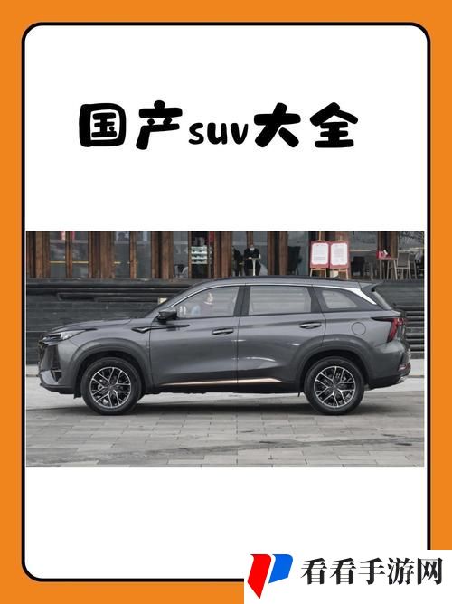 国产SUV精品中的一区二妻