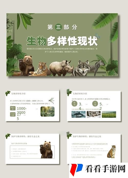 人与动物ppt免费模板大全