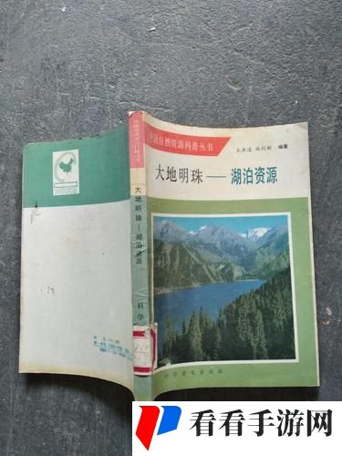 大地资源二中文免费第二页