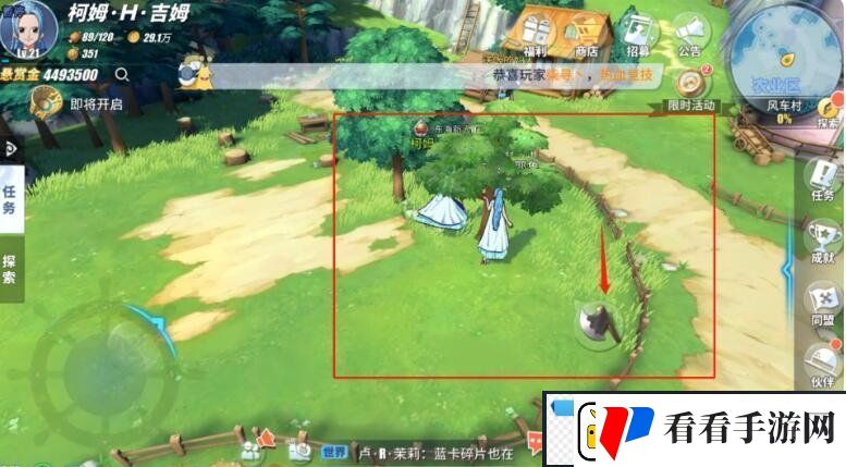 航海王热血航线木材在哪