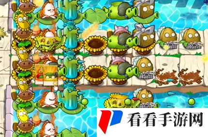 《pvz杂交版》英雄模式埃德加二世过关攻略5