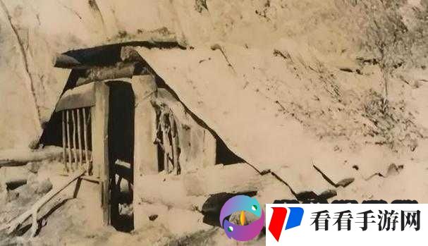中国东北真实亲乱视频高:揭示背后不为人知的真相