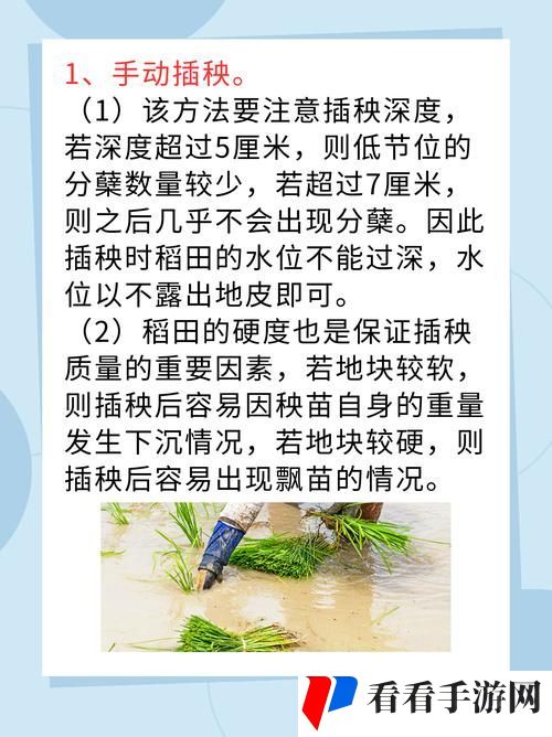 夫妻插秧38种方法图片大全