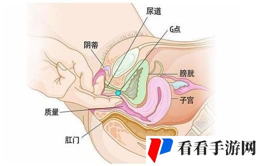 大荫蒂bbbbbb大荫蒂