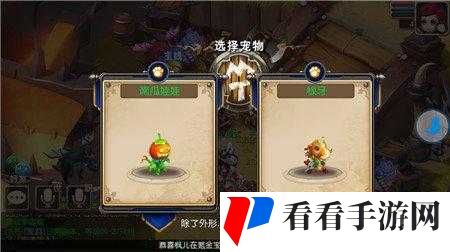 我叫MT3神龟流圣骑加点及宠物选择攻略的深度解析