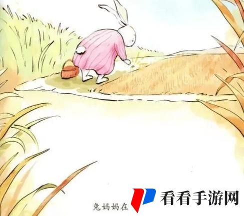 韩国朋友家的麦子太会讲故事了