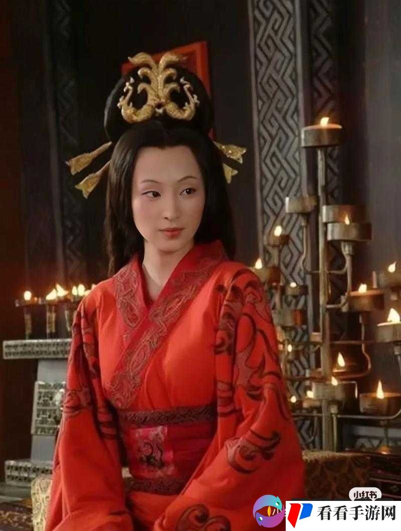 卫子夫,从歌女到皇后的传奇与京门风月中的暗卫形象