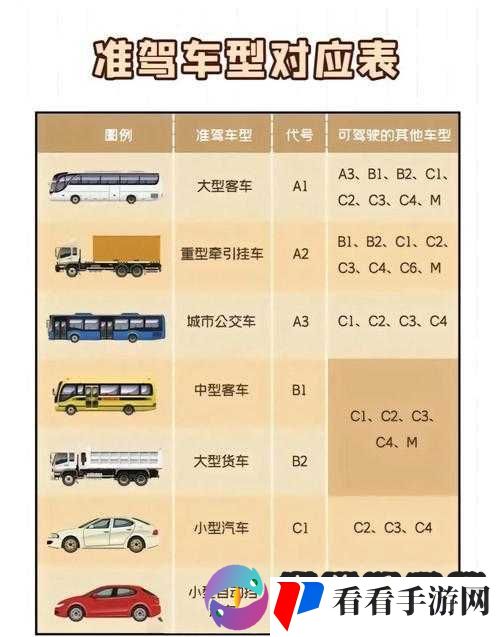 国产 A1a2a317c 最新使用攻略:全面详解与实用技巧分享