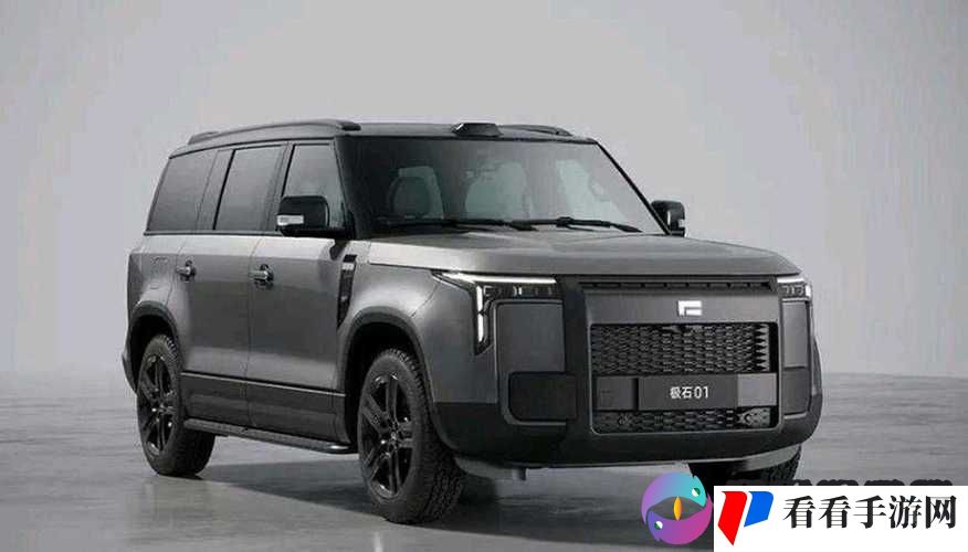 497799 欧洲版国产 SUV 是什么车型:探寻其背后的故事与特点