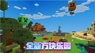 盐和避难所