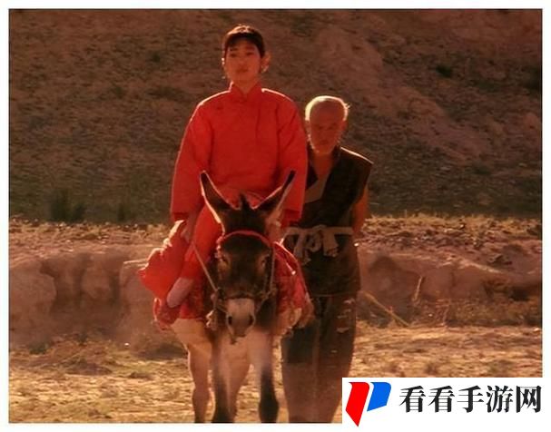 小毛驴影视在线观看