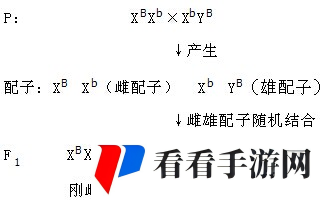 性xBxBlxBxBxB