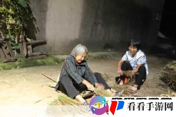 耕耘大婶的肥沃的土地