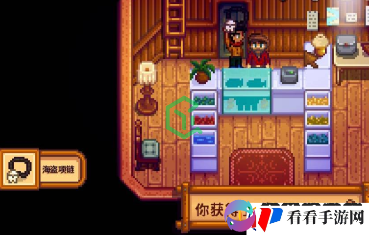 星露谷物语海盗的妻子任务怎么做