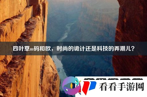 四叶草m码和欧