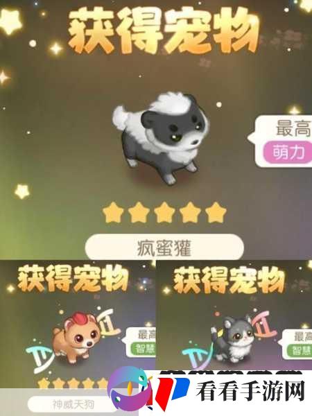 夜晚玩耍生活!动画预告及主题曲燃爆发布