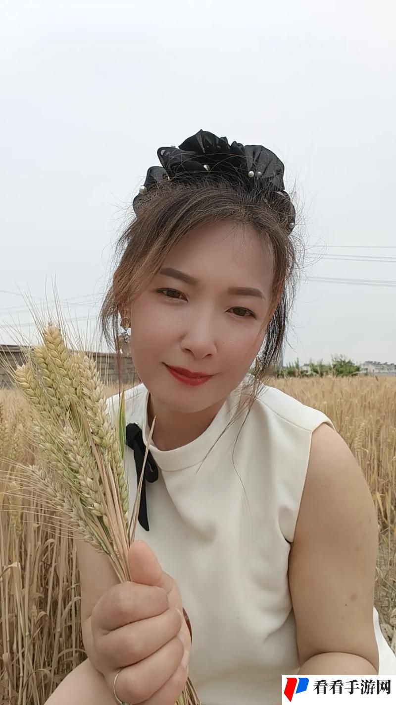 如何在偿还债务的麦子3HD中