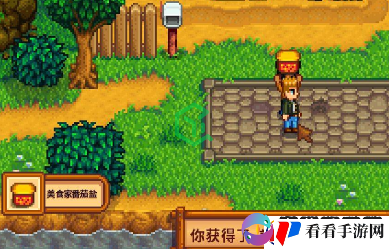 星露谷物语海盗的妻子任务怎么做