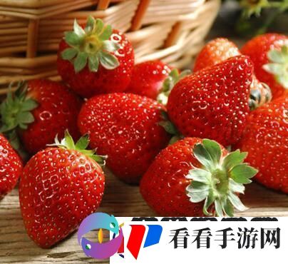 免费畅享草莓视频