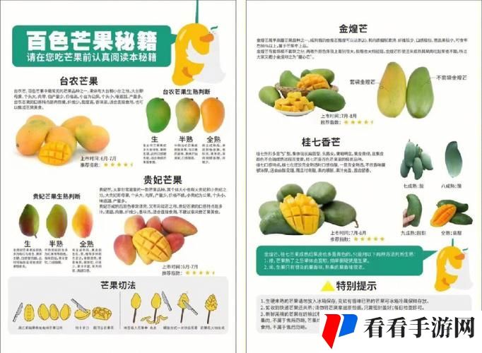 亚va芒果乱码一二三四区别