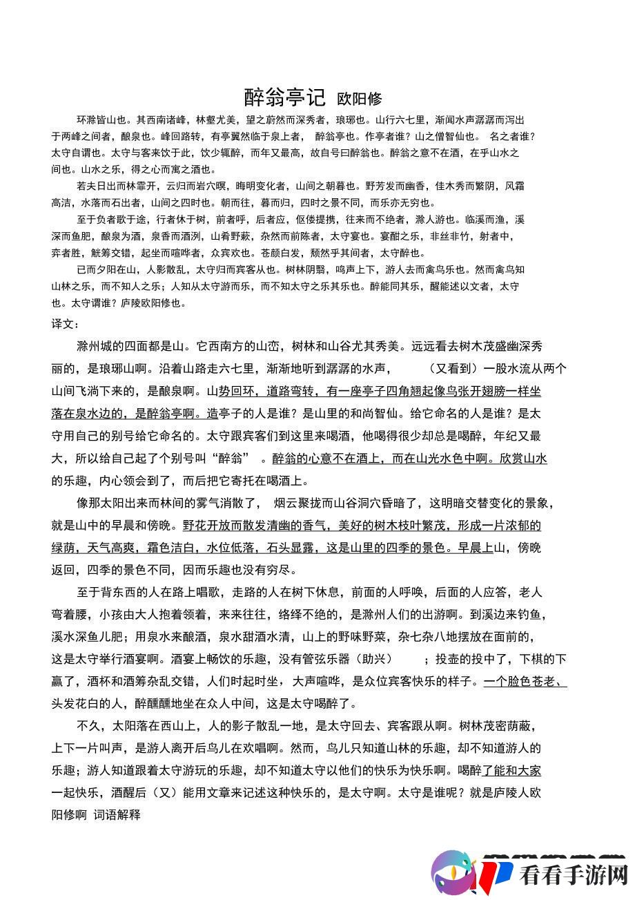 醉翁译梦