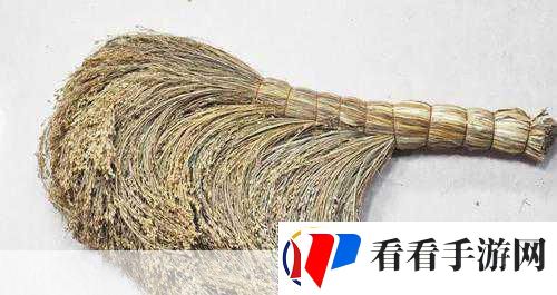探索古代清洁之谜