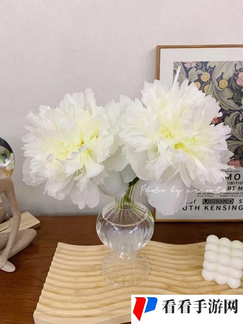 双阳插花芯