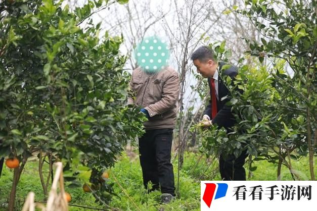农村人乱弄一区二区的处罚方式