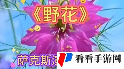 野花韩国高清在线观看视频播放