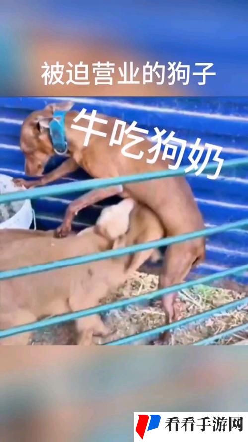 公天天吃我奶躁我的