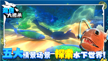 战国无双2武田信玄第二秘武解析——全新战力提升与操作技巧的全面解读
