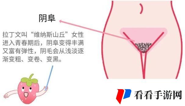 大荫蒂BBBBBB大荫蒂