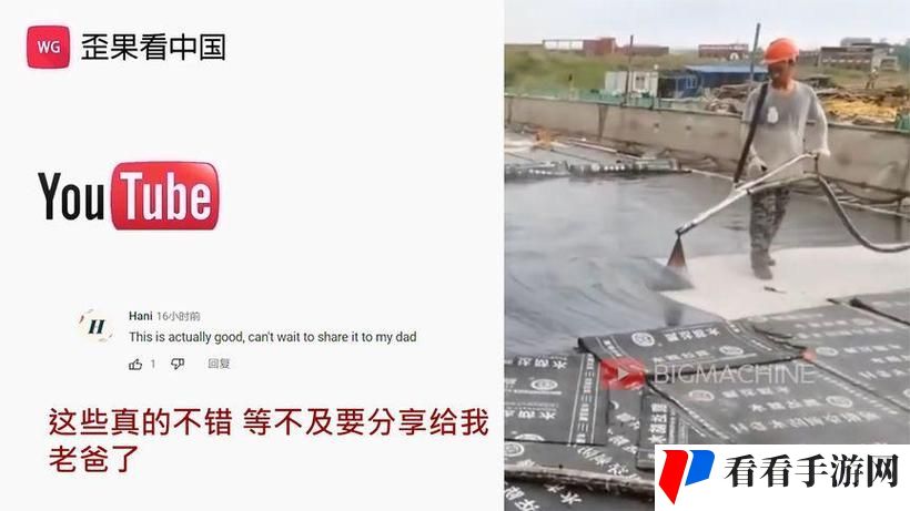 17.c起草