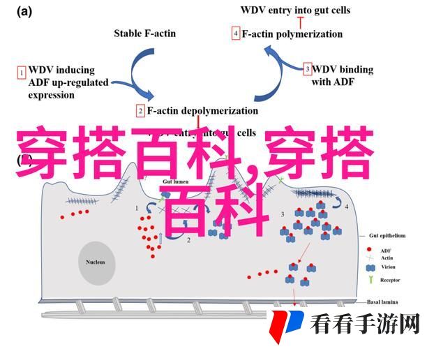 电梯深度开发1v6笔趣阁1v2